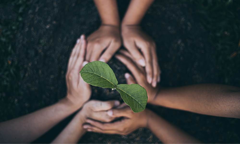 Guias de FESPA ESPAÑA